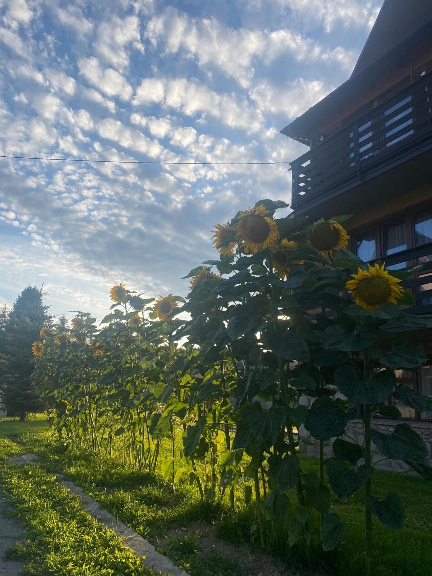 Pokoje Goscinne Maja Bialka Tatrzanska Exterior foto